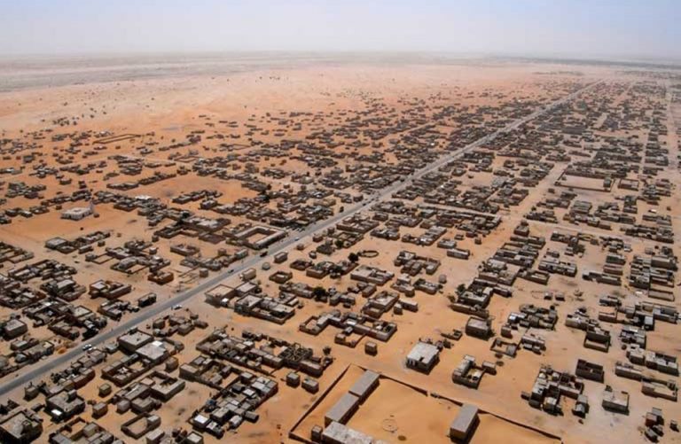 الصناعة الوحيدة التي تصدرها موريتانيا بدون منافس !