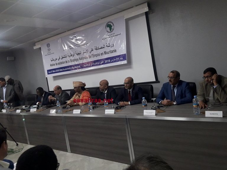 موريتانيا تعرض استراتيجية للتشغيل 2018-2030