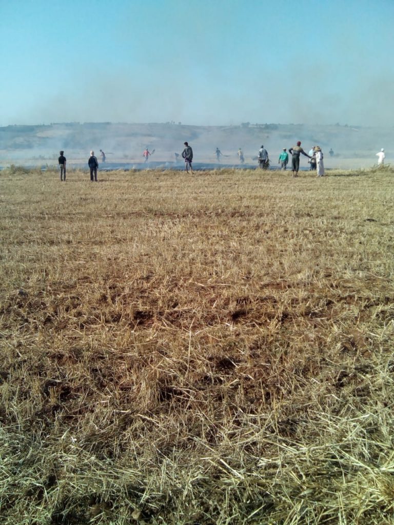 ضياع طفلين بمقاطعة ولاته خلال رحلة بحثهم عن الحشائش