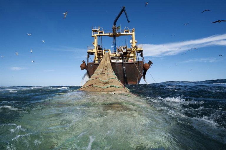 عائدات الصيد بموريتانيا تقترب من مليار دولار