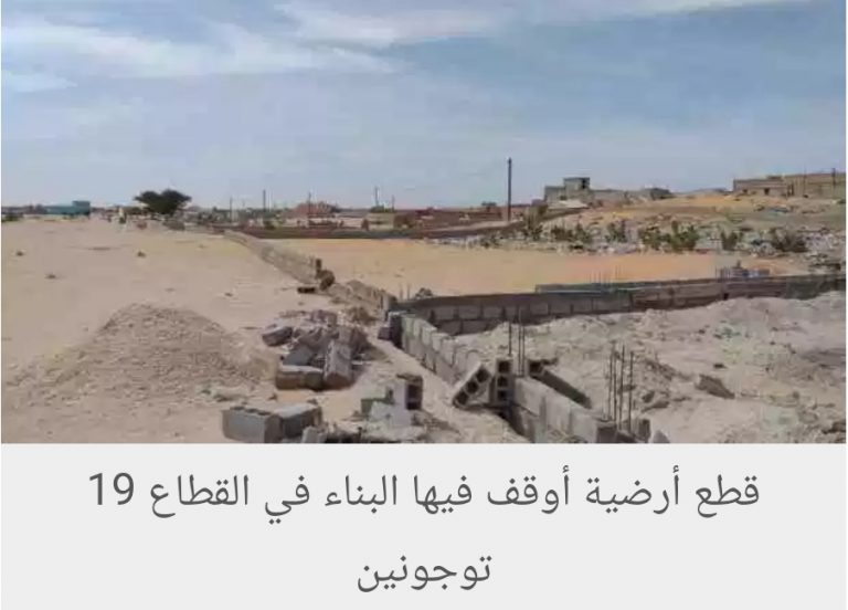 عصابة سرقت مليون قطعة أرضية.. ومحامي يعد بكشفها بالأسماء !
