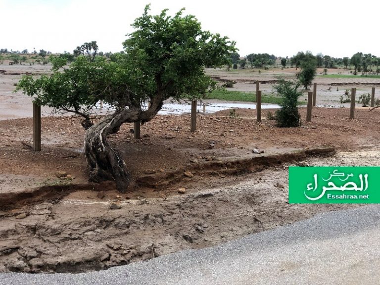مقاييس أمطار جديدة على 50 منطقة داخل موريتانيا