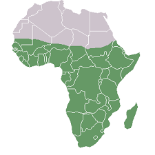 تسجيل أول إصابة بكورونا في إفريقيا جنوب الصحراء