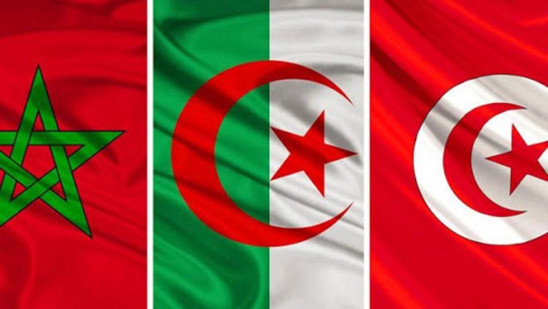 حصيلة الإصابات بفيروس كورونا  في الجزائر والمغرب وتونس