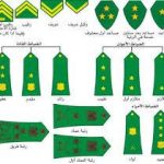 تنزيل (3)_7